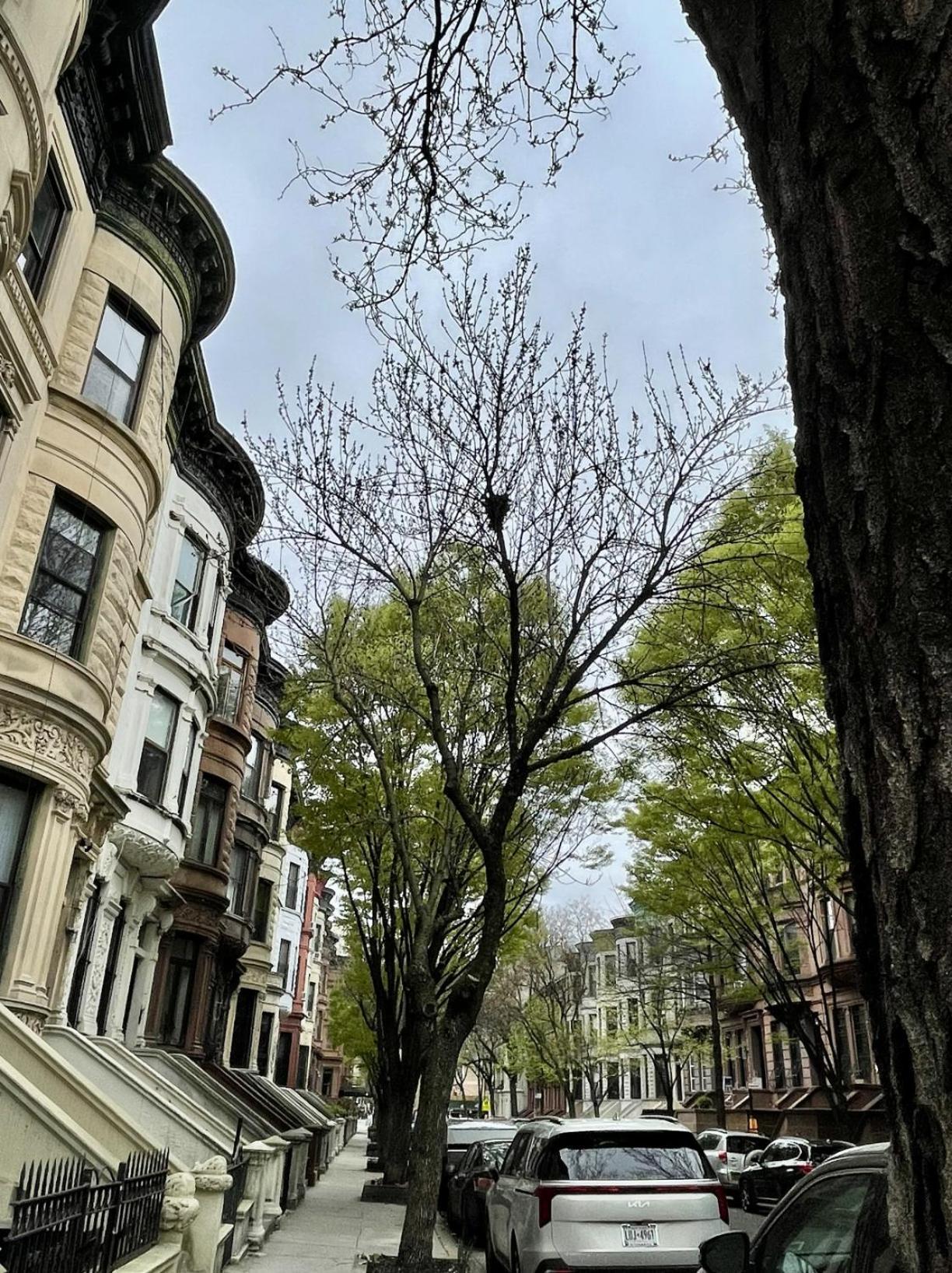 Nyc Townhouse Apartment New York Exterior photo